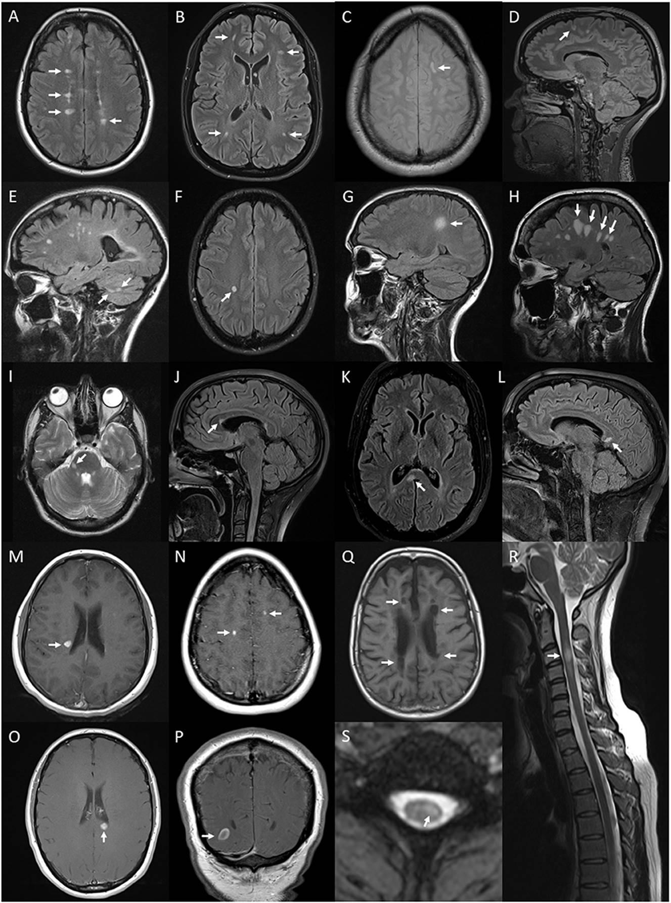 A group of coins
Description automatically generated with low confidence