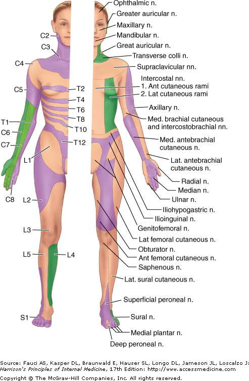 Description: Description: harr17_c025f002