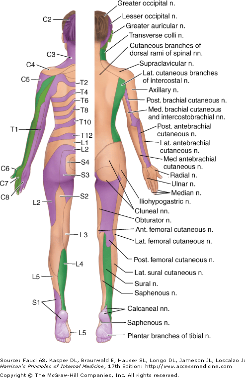Description: Description: harr17_c025f003